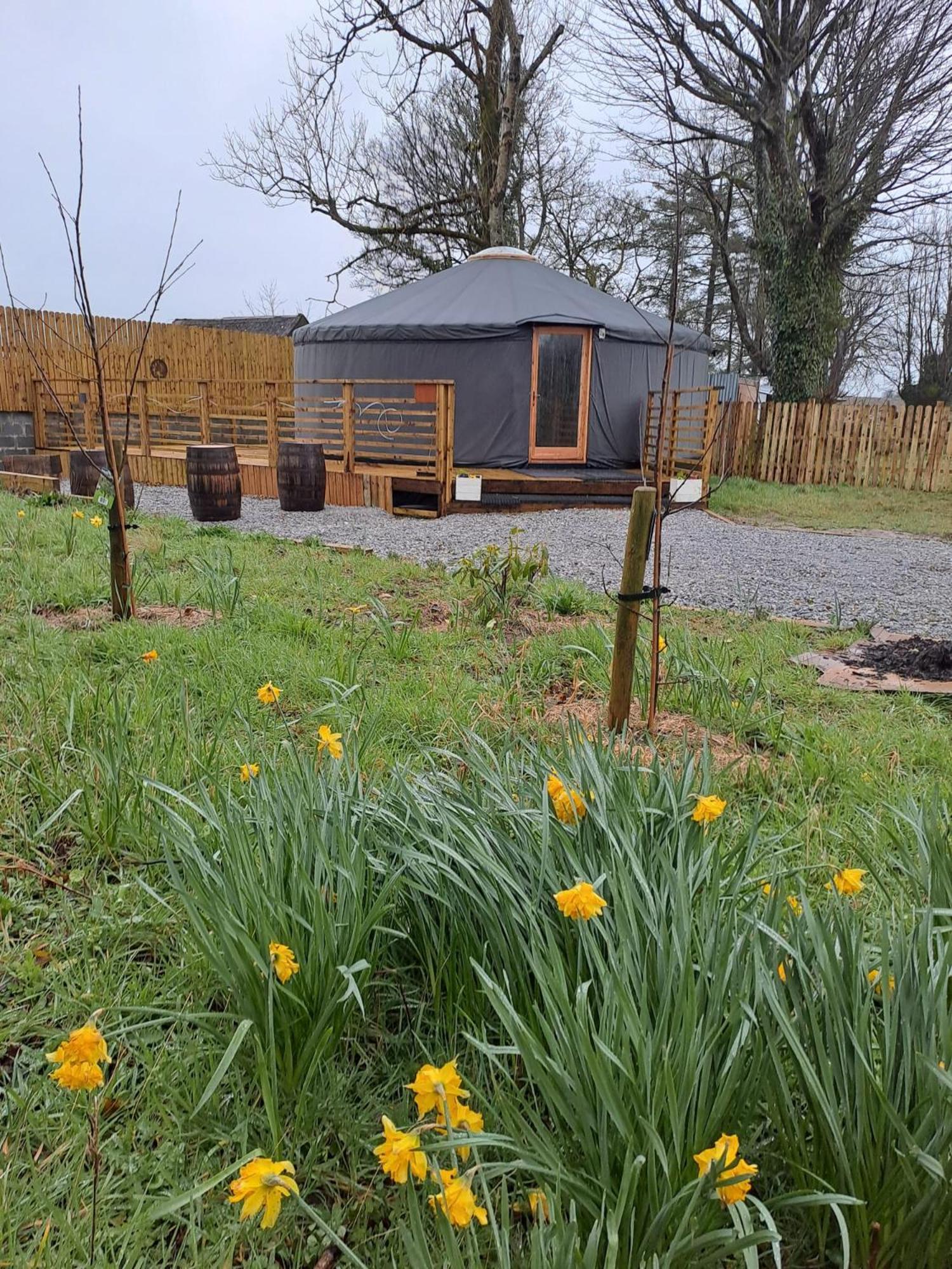 The Snowdrop Hotel Galway Eksteriør billede